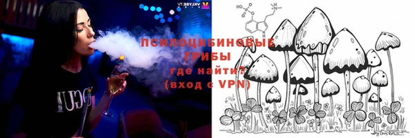 дмт Киреевск