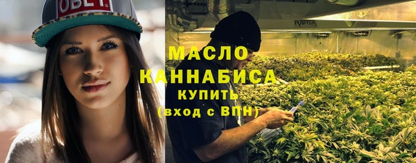 дмт Киреевск