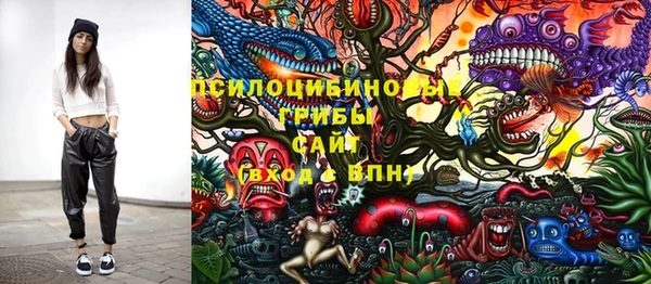 дмт Киреевск
