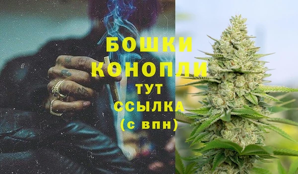дмт Киреевск