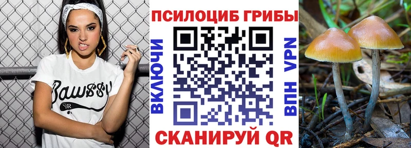 Купить где  Верхняя Салда  Псилоцибиновые грибы прущие грибы 